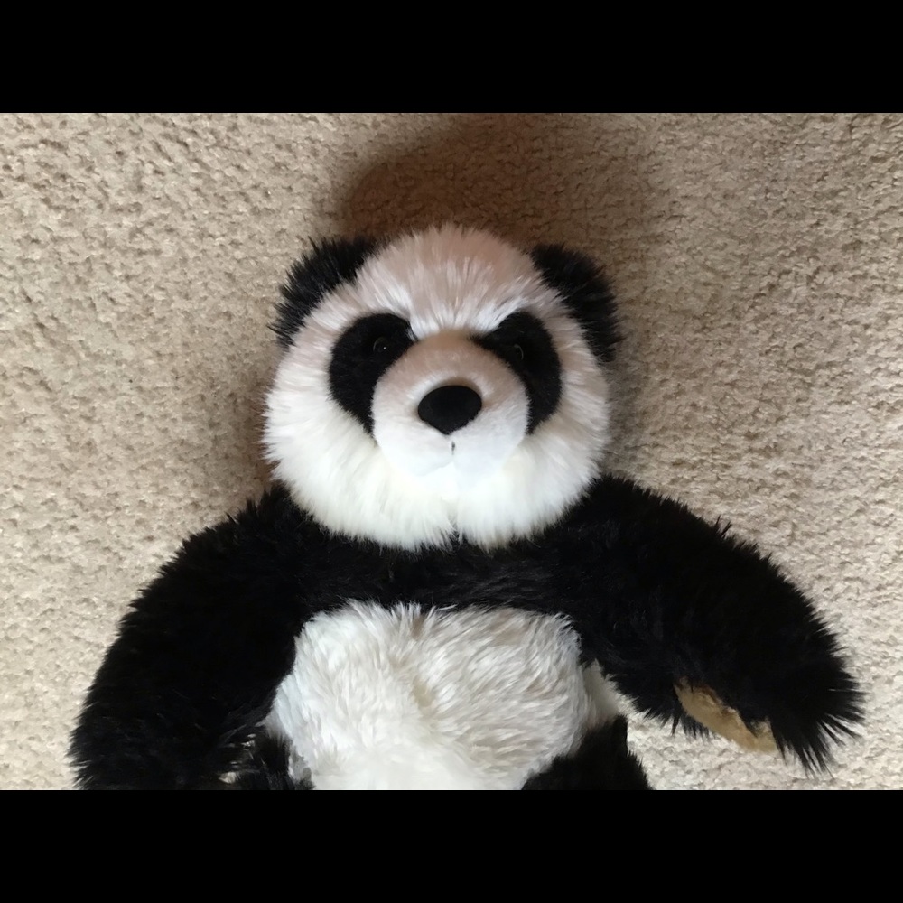 Build a Bear - Picture 2 of 4
